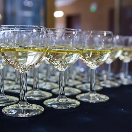 酒店 沃德尼克酒店 4*